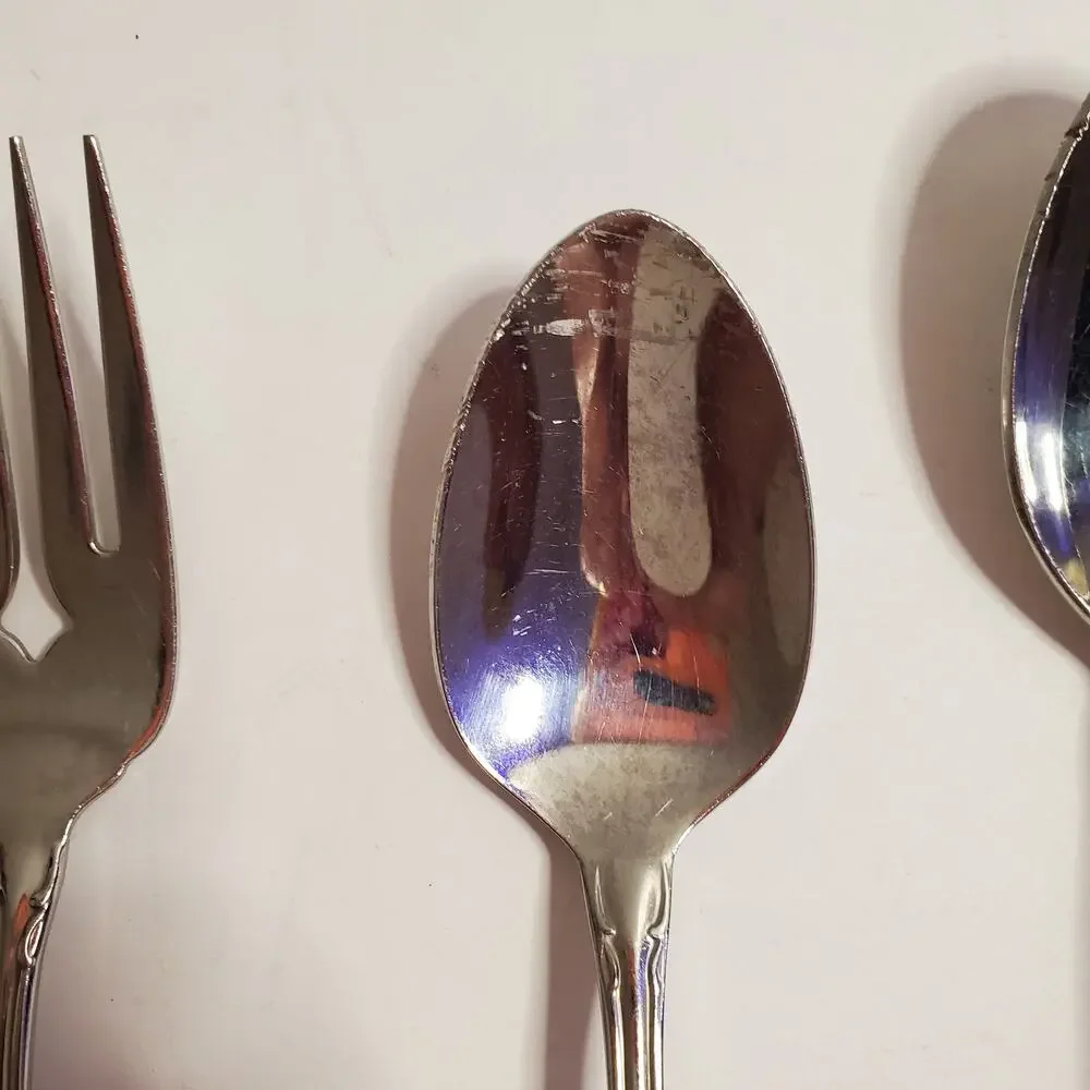 Vintage 1881 Rogers Oneida Mixed Lot Arbor True Rose Stainless Flatware 13 Piece